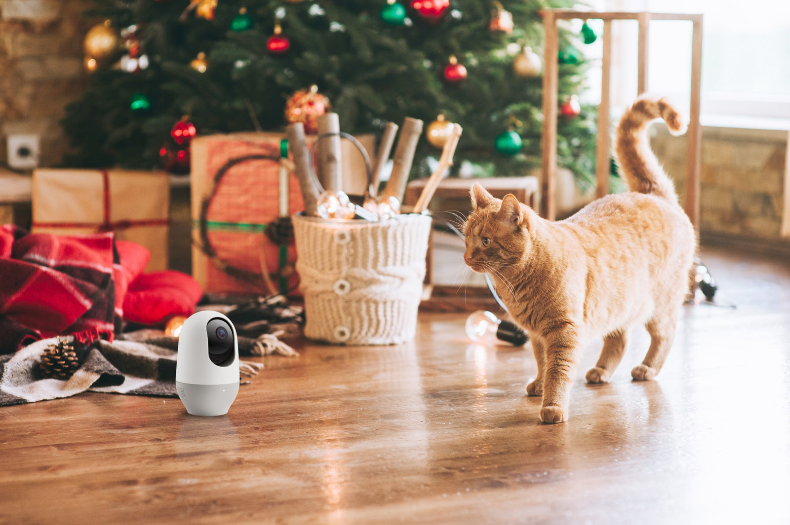 5 Holiday Safety Tips To Help You Sleep at Night & How Nooie Can Help