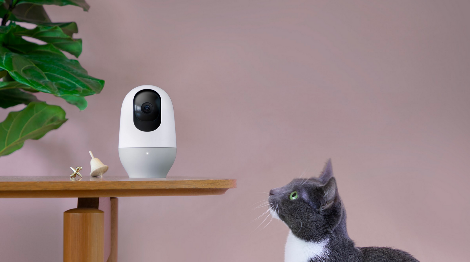 Nooie Indoor / 360 Cam Featured on Gear Radical's List of Best Tools for Home Office