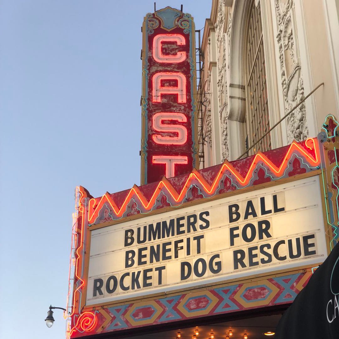 Nooie X Rocket Dog Rescue