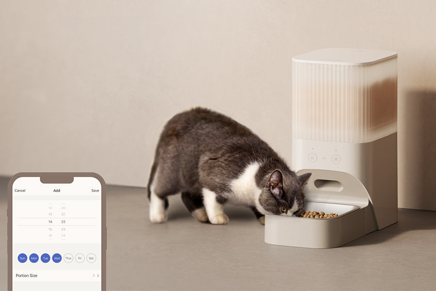 5 reasons why you need a Pet Feeder