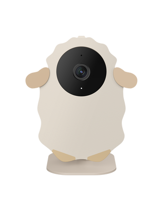 Nooie Baby Cam