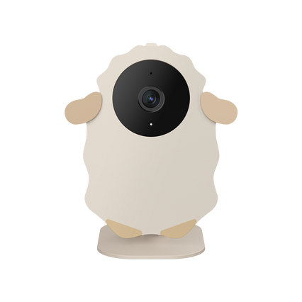 Nooie Baby Cam